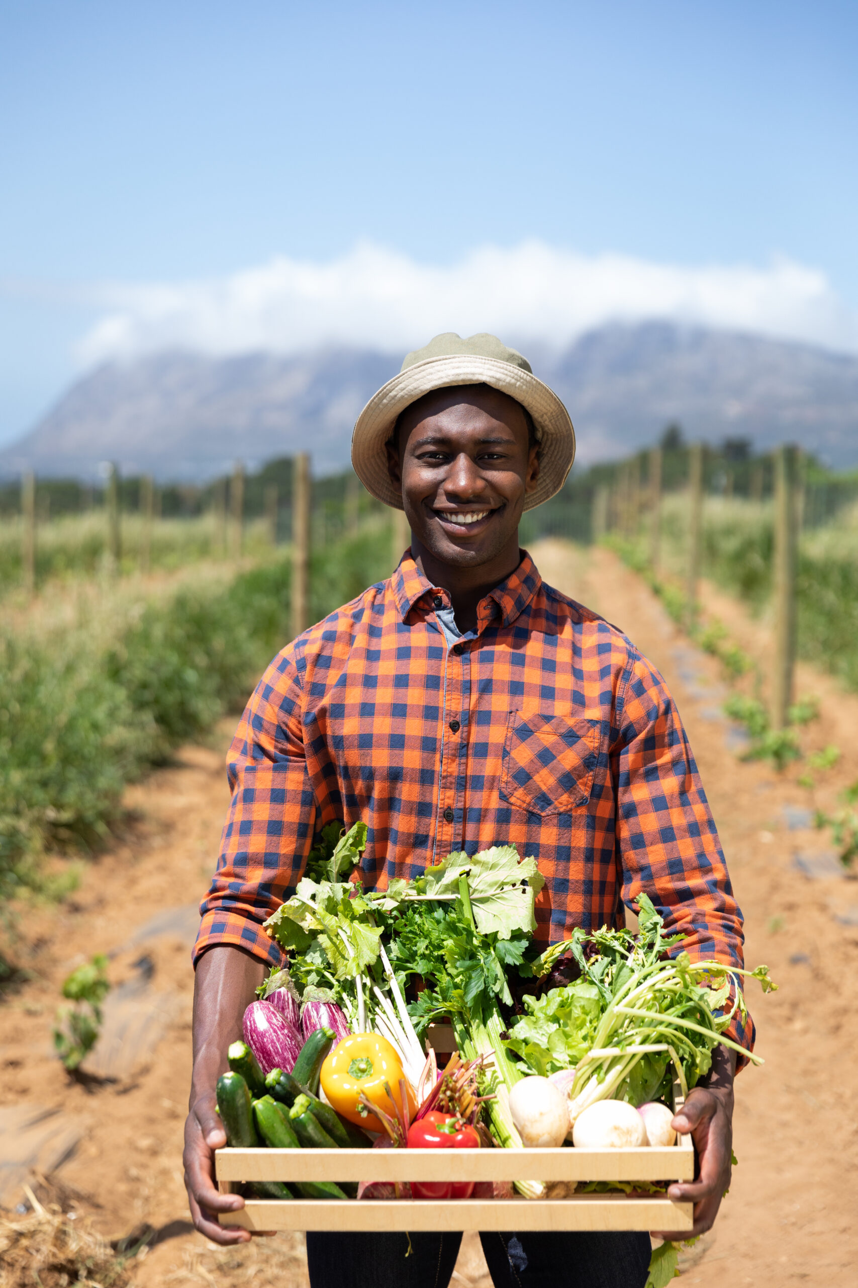 Portrait of a happy African American man standing in a farming field carrying a box of fresh organic vegetables, smiling. Family enjoying time at home, lifestyle concept