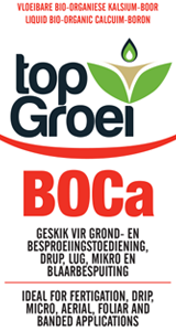 top-groei-BOCa