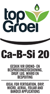 top-groei-cabsi-