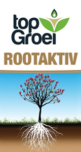 top-groei-rootaktiv