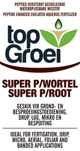 top-groei-super-wortel
