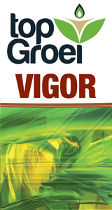 top-groei-vigor-
